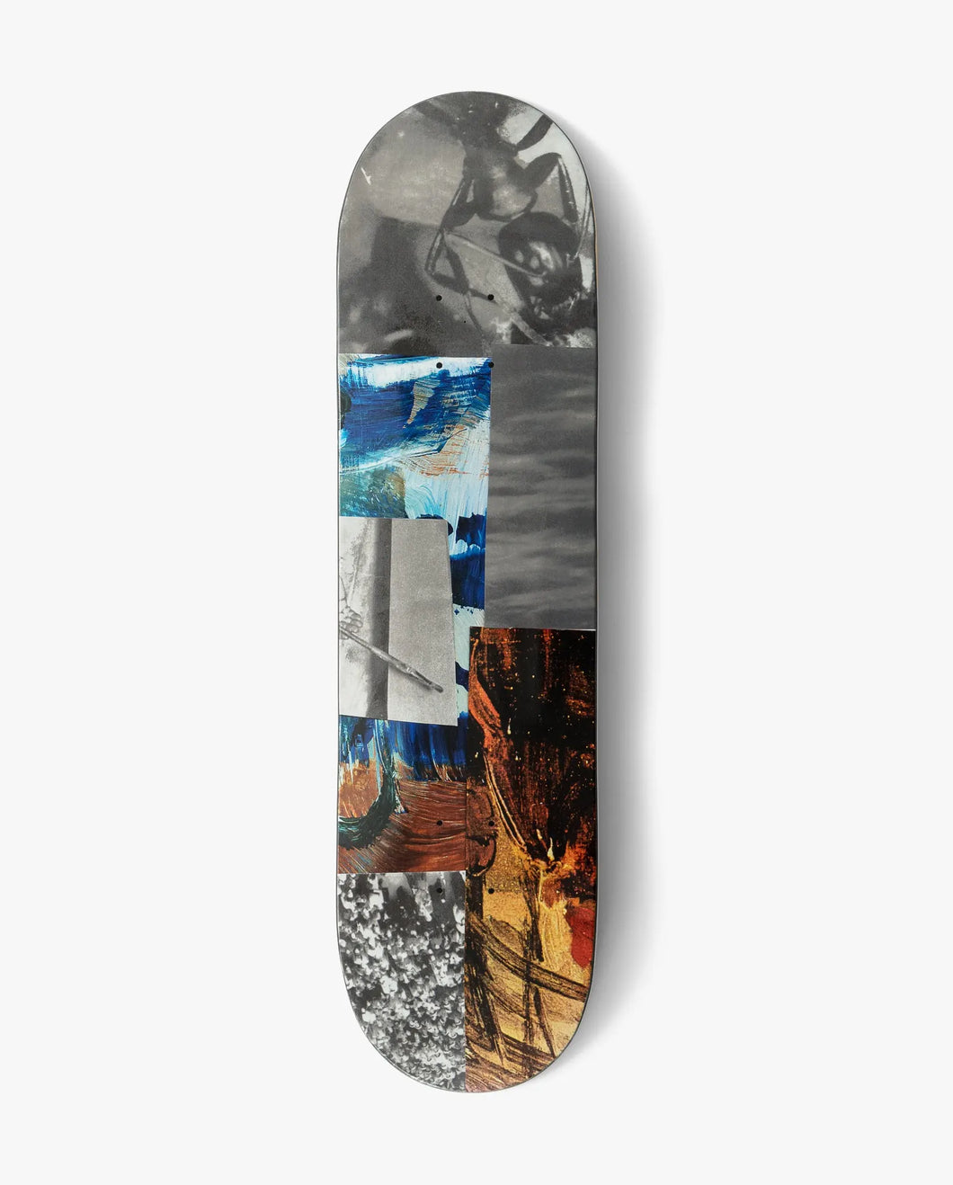 Poetic Collective - ‘Archive #3 Insect Deck’ 8.25”